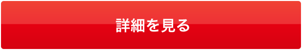 詳細を見る